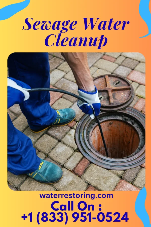 Sewage Water Cleanup in Camilla, GA